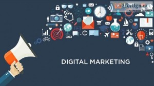 Digital marketing consultant