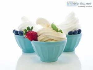 Frozen Yogurt Mix - Harsha Enterprises