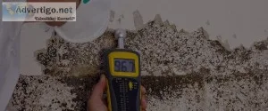 Reliable and Certified Mold Inspector Minot