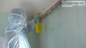 Emergency Mold Inspector in Minot