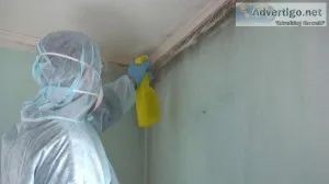 Emergency Mold Inspector in Minot