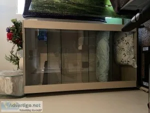 Italian curio cabinet