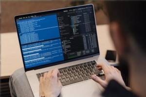 Service That We are Offered &ndash It Service and Solutions