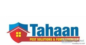 Best Pest Control Service in Mumbai - Tahaan Pest Solutions