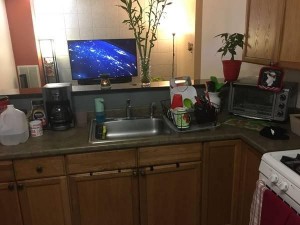 PET OKAY ONE BEDROOM HEAT HW PAID PARKING