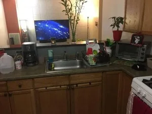PET OKAY ONE BEDROOM HEAT HW PAID PARKING