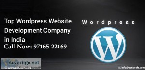 Wordpress Web Development Service in Delhi NCR