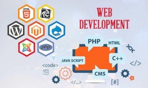 91-97165-22169  Website Development Services