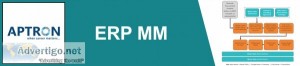 Sap mm training institute in gurgaon