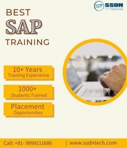 Best Institute For SAP Course in Gurgaon