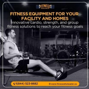 Best Bench For Workout Fitness Wholesaler