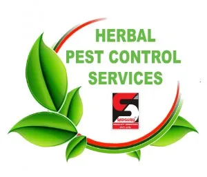 Pest Control Services in Kandivali by Sadguru Pest Control