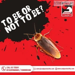Pest Control Services in Dadar by Sadguru Pest Control