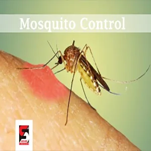 Pest Control Services in Andheri by Sadguru Pest Control