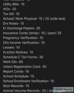 Check Stubs Banks Statements and Any Doc u need