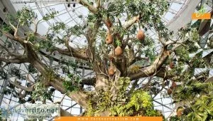 Green planet dubai ? weekend kid friendly green park in dubai | 