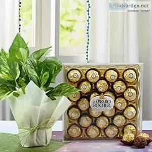 Money Plant With Ferrero Rocher