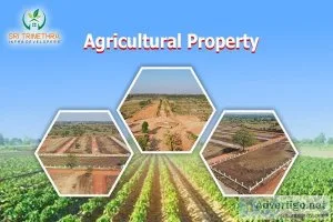 agricultural property for sale Trinetra Developer