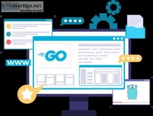 Hire our specialized golang developer