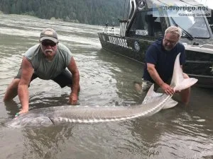 Kilby Lodge - The Best Fishing Charter