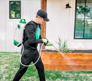 Bed Bug Extermination Service