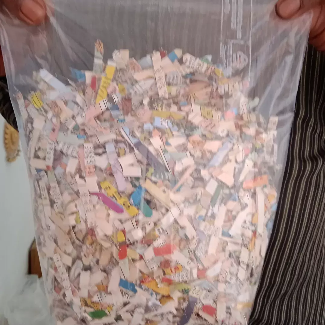 Shredded paper bits