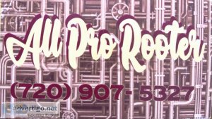 All Pro Rooter llc.