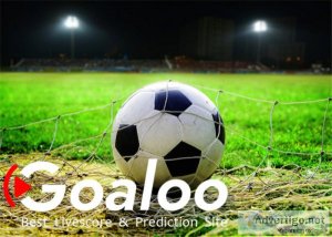 Global soccer, goaloo statistics