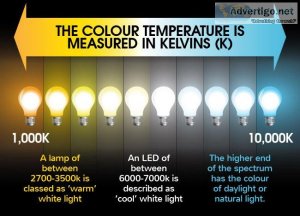 cool white vs daylight