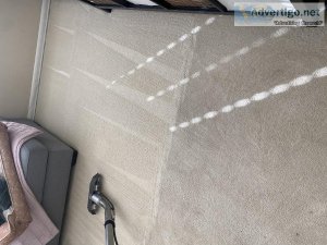 Steam carpet cleaning services