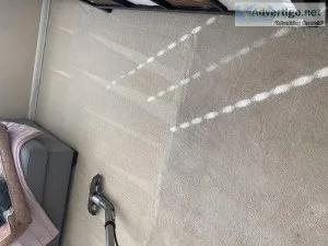 Steam carpet cleaning services