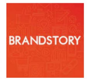 Best social media marketing agency in delhi- brandstory