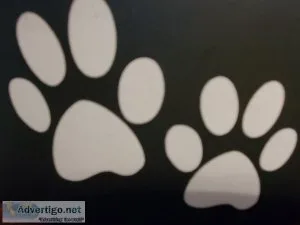 In-Home Pet services