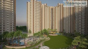Nirala Estate Greater Noida West  Noida Extension