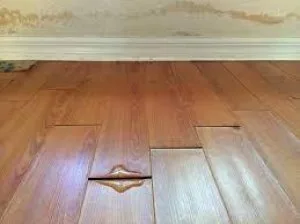 Home Inspection Houston TX  713-824-3029