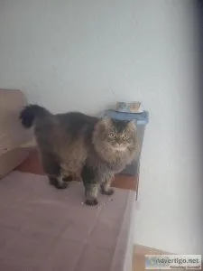 Her name is Esmae