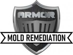 Armor Mold Remediation LLC