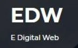 Website Developer in Agra