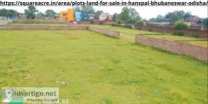 Plot For Sale In Hanspal Bhubaneswar (91-720-564-8119)