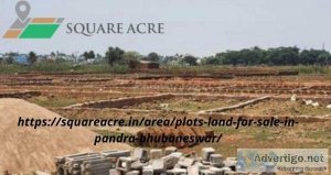 .Low-cost plot for sale in Pandra Bhubaneswar(91-720- 564-8119)