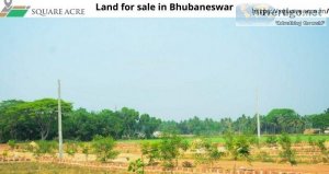 Land for sale in Bhubaneswar(720-564- 8119)
