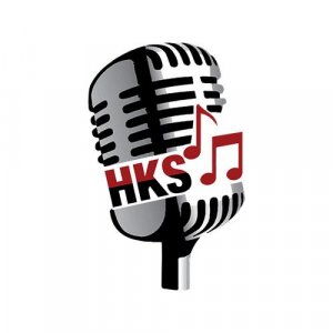 Best Buy Karaoke Online - Hindikaraokeshop.Com