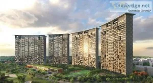 Luxury apartments in noida extension