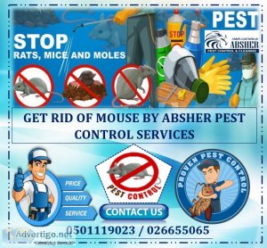 Mouse problem? affordable professional pest control services now