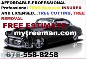 TREE SERVICE - TRIMMING PRUNING and REMOVAL (Metro Atlanta)