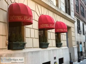 Canopy tent awning