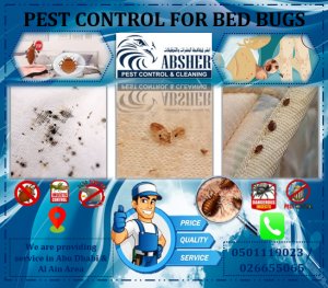 Bed bug problem? affordable pest control services now available