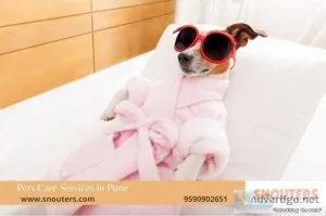 Best Cat and Dog boarding Service in Pune