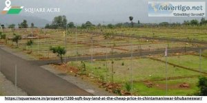 Buy land at a good price in  Chintamaniswar Bhubaneswar (91-720-