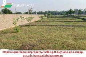 Plot for Sale At Good price In Hanspal Bhubaneswar (91-720-564-8
